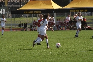 IMG_1353.JPG